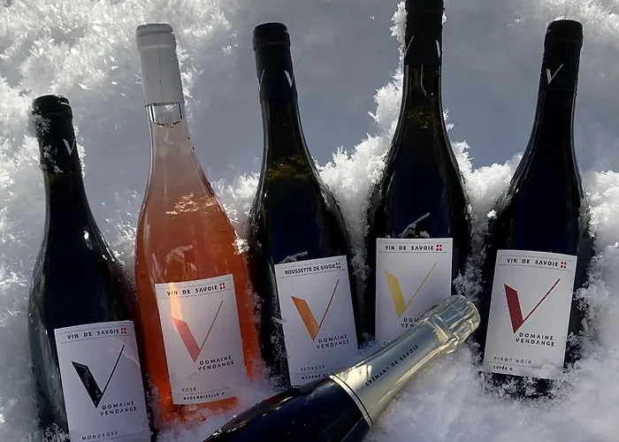 酒店 L'arveyron Open House 3*