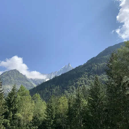 Hotell L'arveyron Open House Chamonix